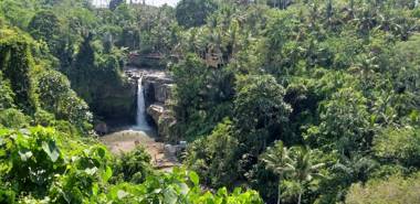 Bali Culture Guesthouse