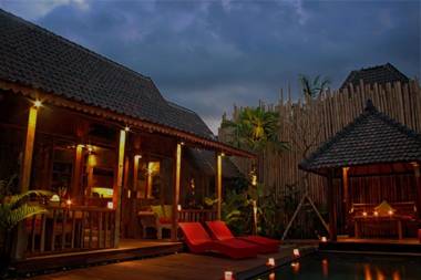Ubud Virgin Villa