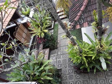 Nyoman House Ubud