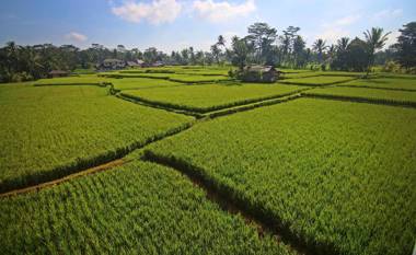 Greenfield Luxury Villas