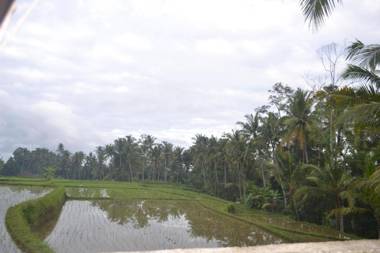 Buda Cottage Ubud