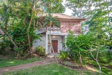 The Onion Collective