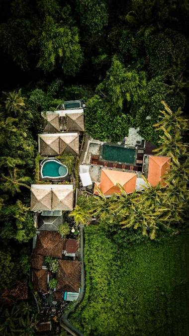 The Pari Sudha - CHSE Certified