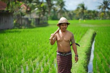 Villa Mandi Resort & Spa