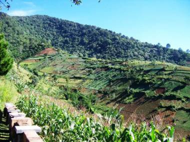 Talita Resort Ciloto Puncak