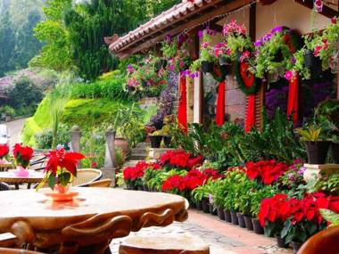 Talita Resort Ciloto Puncak