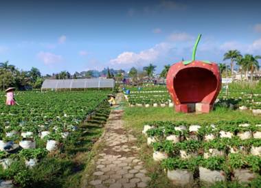 Villa Musti Green Apple Cipanas