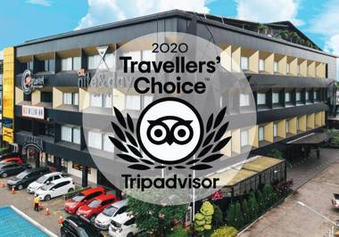 All Nite And Day Veteran