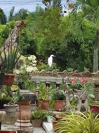 Hotel Mutiara/Penginapan Mutiara