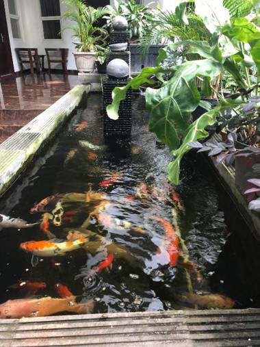 Tlogomas Guest House