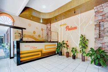 OYO 3956 Hotel Palem 2