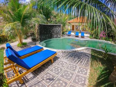 Tarzan Marriott On Penida