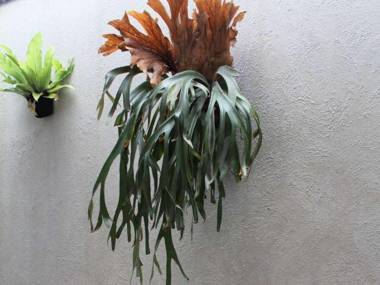 Casa Living Setiabudi Jakarta