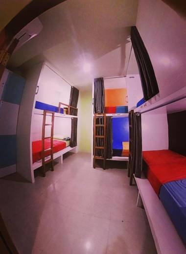 Sleepy Raccoon Hostel