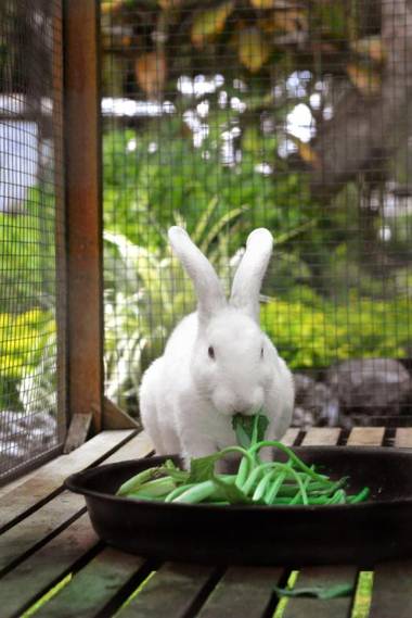 ASTON Denpasar Hotel & Convention