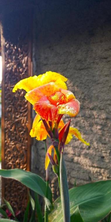 Sapulidi Cafe Gallery & Resort