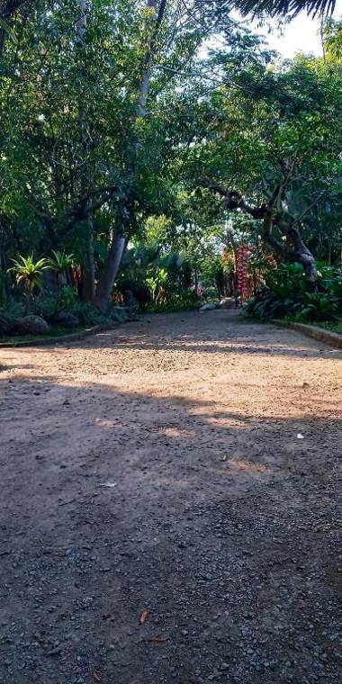 Sapulidi Cafe Gallery & Resort