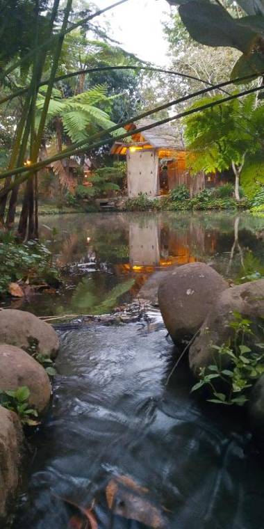 Sapulidi Cafe Gallery & Resort