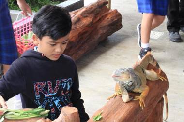 Grand Tjokro Premiere Bandung