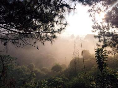 Ruth's Bed & Breakfast