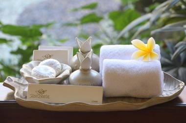 Parigata Resorts and Spa