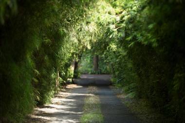 The Pavilions Bali - CHSE Certified