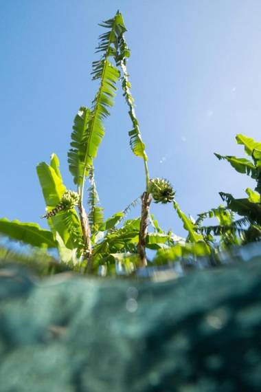 Bingin Bienvenue Guest House