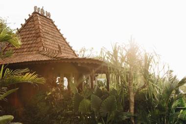 White Tortoise Eco Villa's