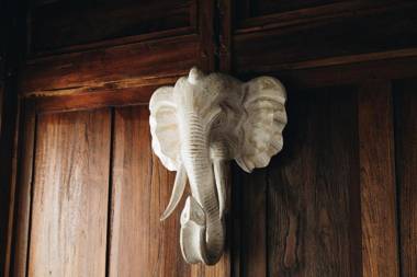 White Tortoise Eco Villa's