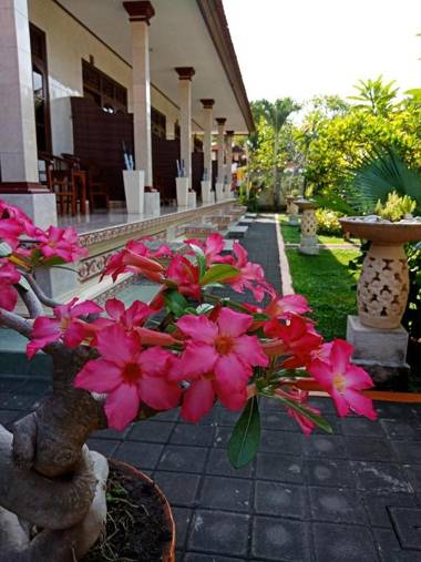 Frangipani Homestay