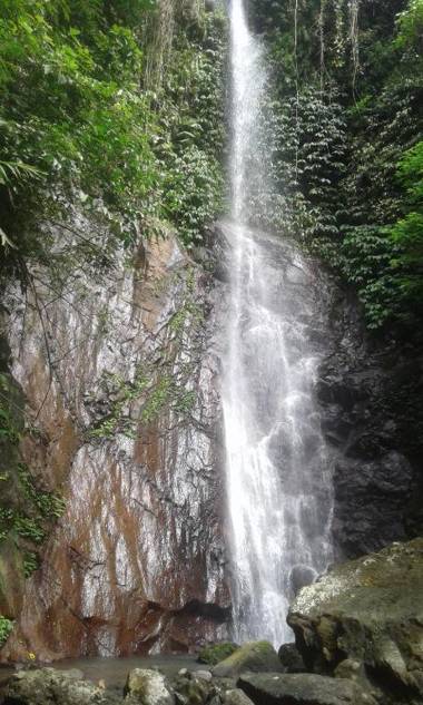 Pondok Salacca#bamboohouse#