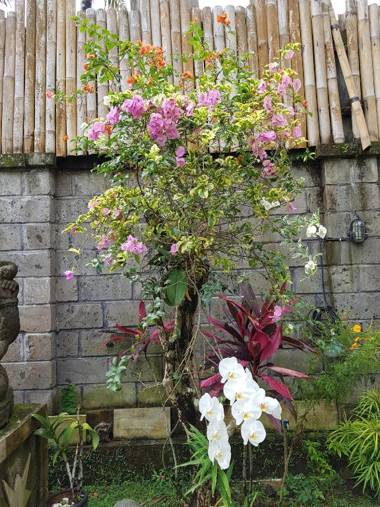 Villa Santai Karangasem