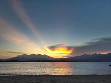 Zipp Bar Restaurant & Bungalows