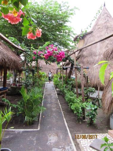 Fantastic Bamboo Hut