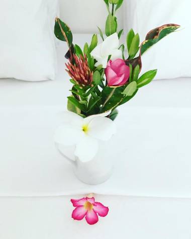 Manusia Dunia Green Lodge