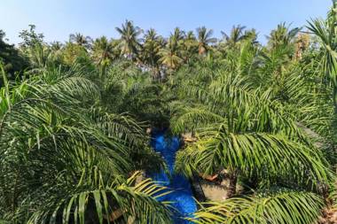 Coconut Boutique Resort