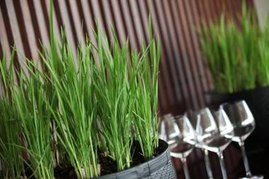 The Lombok Lodge Suites & Private Villas