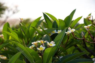 The Lombok Lodge Suites & Private Villas