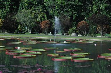 Amaroossa Royal Hotel Bogor
