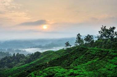 GIO Guesthouse Bogor