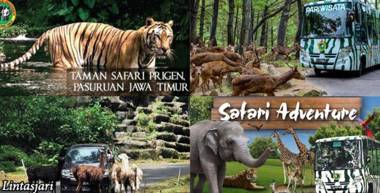 GIO Guesthouse Bogor