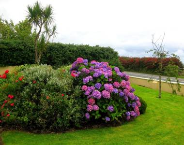 Cill Bhreac House B&B