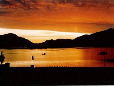 Ivy House Holiday Home