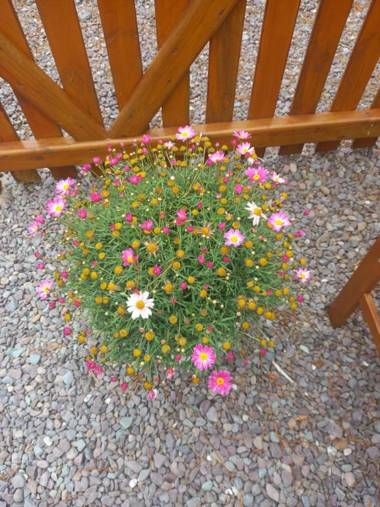 Stunning 1-Bed Apartment Valentia Island