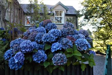 Remarkable Apartment in Kenmare Ireland