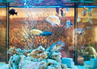 Kinlay House Eyre Square Hostel