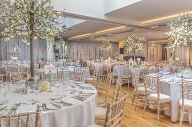 The Morrison Dublin Curio Collection by Hilton