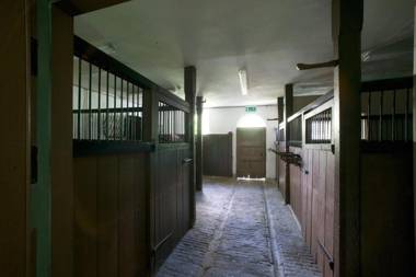 Merrion Mews