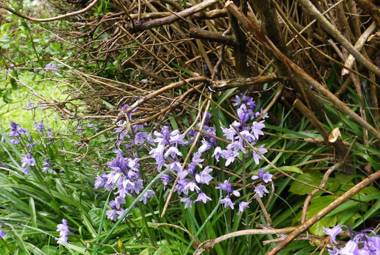 Village Way Apartments