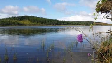 Lough Mardal Lodge